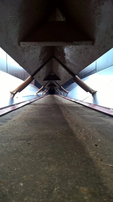 shot of potato bulker from conveyor belt